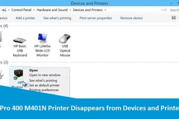 HP Pro 400 M401N Printer Disappears from Devices