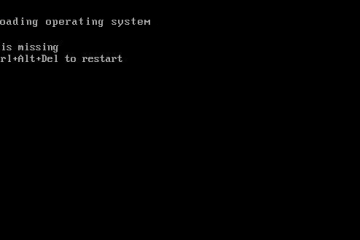 Error Loading Operating System with Windows